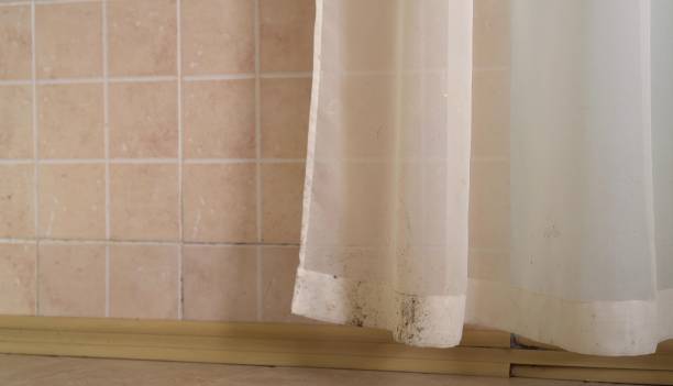 Best Mold-Related Health Consultation  in Manistique, MI
