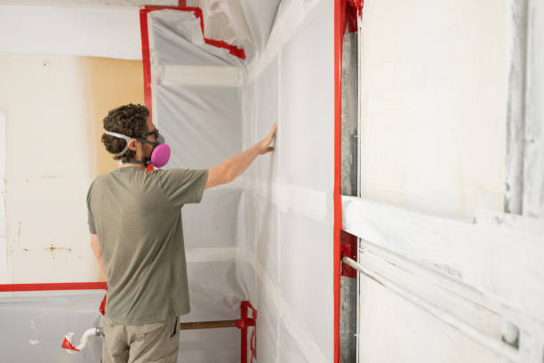 Best Post-Construction Mold Inspection  in Manistique, MI