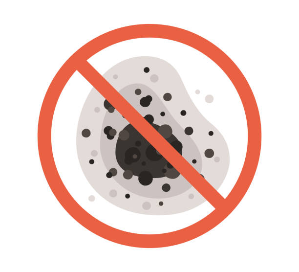 Best Black Mold Removal  in Manistique, MI