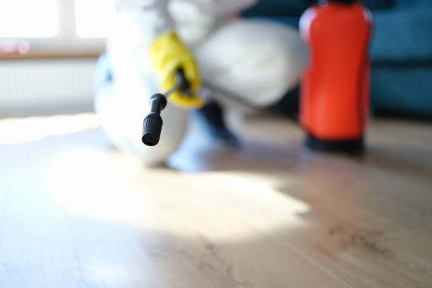 Best Residential Mold Inspection & Testing  in Manistique, MI