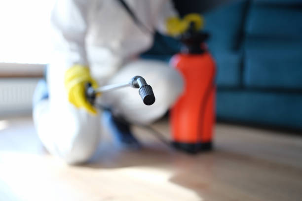 Best Real Estate Mold Inspection  in Manistique, MI