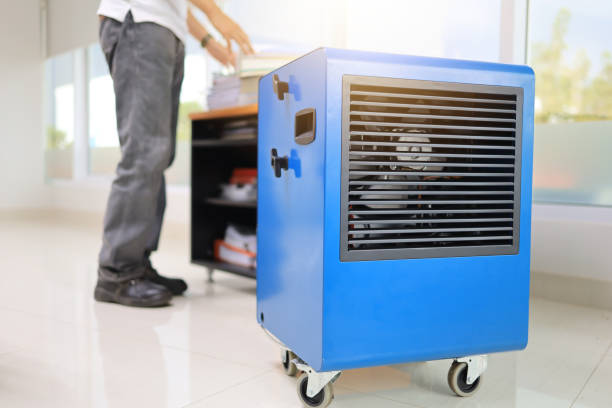 Best Mold Odor Removal Services  in Manistique, MI