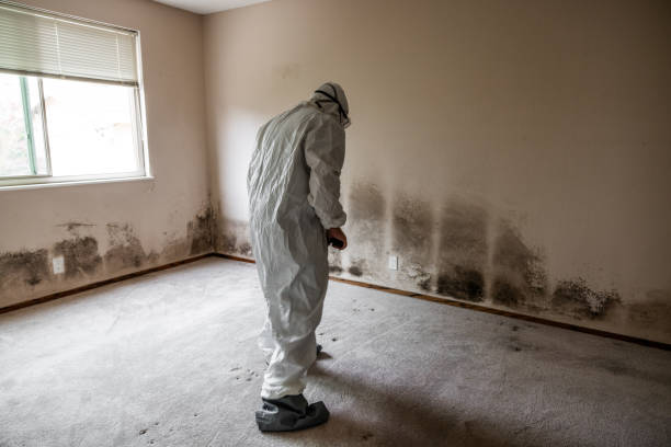 Best HVAC Mold Inspection and Cleaning  in Manistique, MI