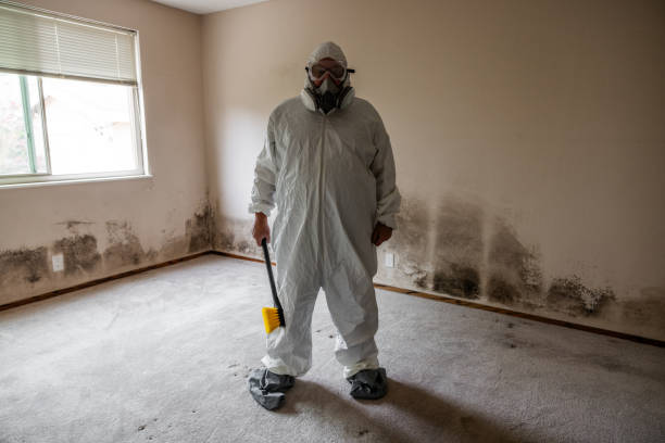 Best Airborne Mold Testing  in Manistique, MI