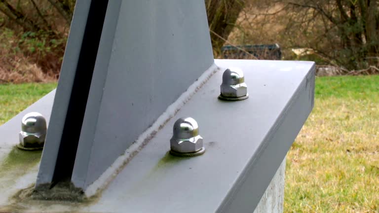 Reliable Manistique, MI Mold Removal Solutions